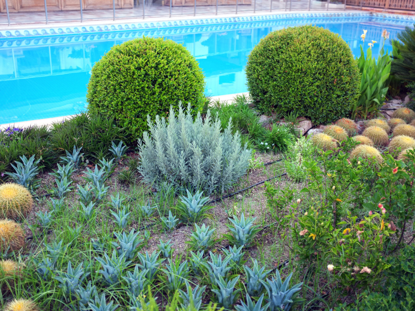 Hardscaping Contractor in Prescott Valley, AZ Patio Installation